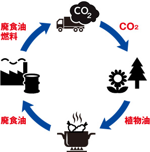 バイオディーゼル燃料（BDF）の特徴